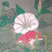 Kazu Saito Gallery
